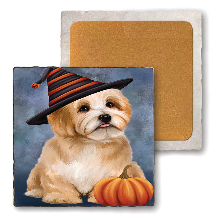 Happy Halloween Havanese Dog Wearing Witch Hat with Pumpkin Set of 4 Natural Stone Marble Tile Coasters MCST49786
