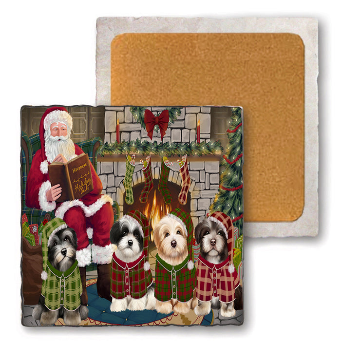 Christmas Cozy Holiday Tails Havaneses Dog Set of 4 Natural Stone Marble Tile Coasters MCST50130
