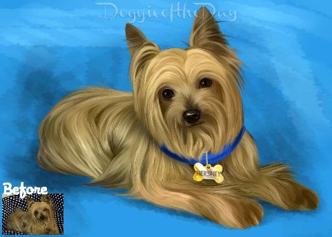 Digital Painting PERSONALIZED PET PORTRAIT! Custom Pet Dog or Cat Art