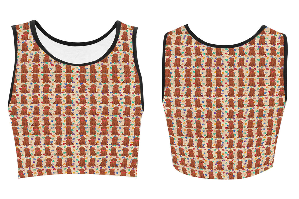 Rainbow Paw Print Irish Red Setter Dogs Red Women's Crop Top
