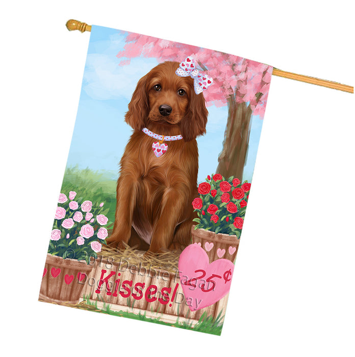 Rosie 25 Cent Kisses Irish Red Setter Dog House Flag FLG56574