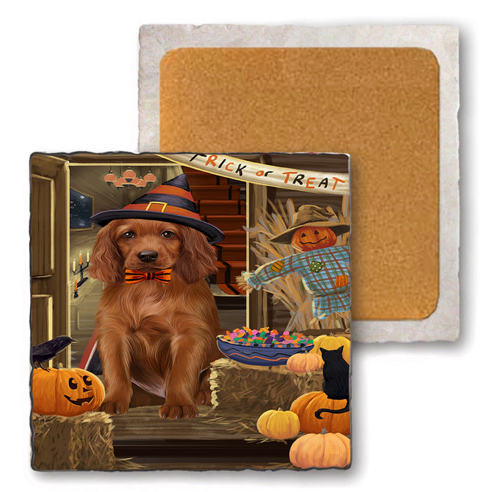 Enter at Own Risk Trick or Treat Halloween Irish Setter Dog Set of 4 Natural Stone Marble Tile Coasters MCST48163