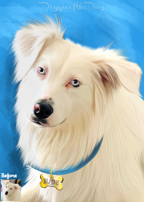 Digital Painting PERSONALIZED Caricature PET PORTRAIT! Custom Pet Dog or Cat Art