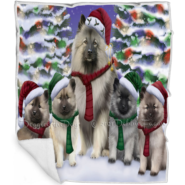 Keeshonds Dog Christmas Family Portrait in Holiday Scenic Background  Blanket BLNKT90732