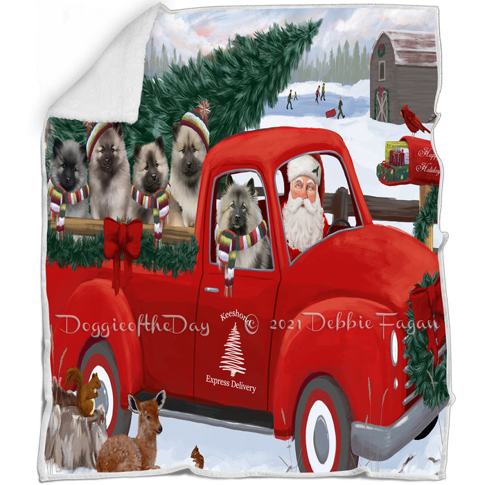 Christmas Santa Express Delivery Red Truck Keeshonds Dog Family Blanket BLNKT112773