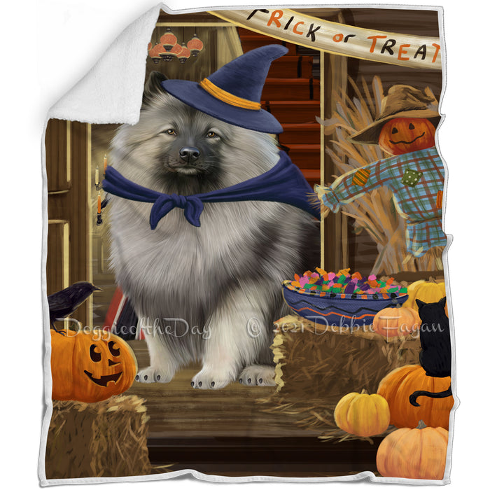 Enter at Own Risk Trick or Treat Halloween Keeshond Dog Blanket BLNKT95862