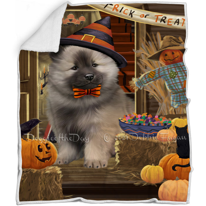 Enter at Own Risk Trick or Treat Halloween Keeshond Dog Blanket BLNKT95898