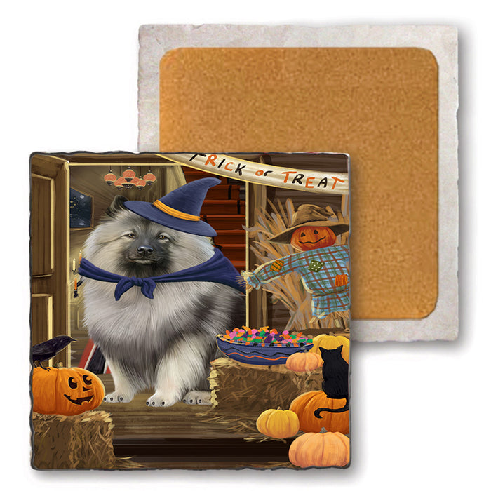 Enter at Own Risk Trick or Treat Halloween Keeshond Dog Set of 4 Natural Stone Marble Tile Coasters MCST48169