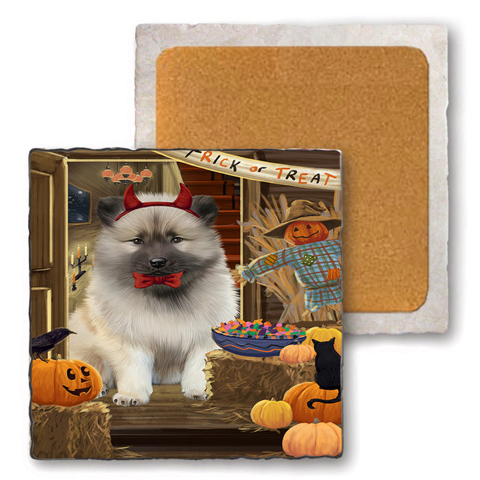 Enter at Own Risk Trick or Treat Halloween Keeshond Dog Set of 4 Natural Stone Marble Tile Coasters MCST48172