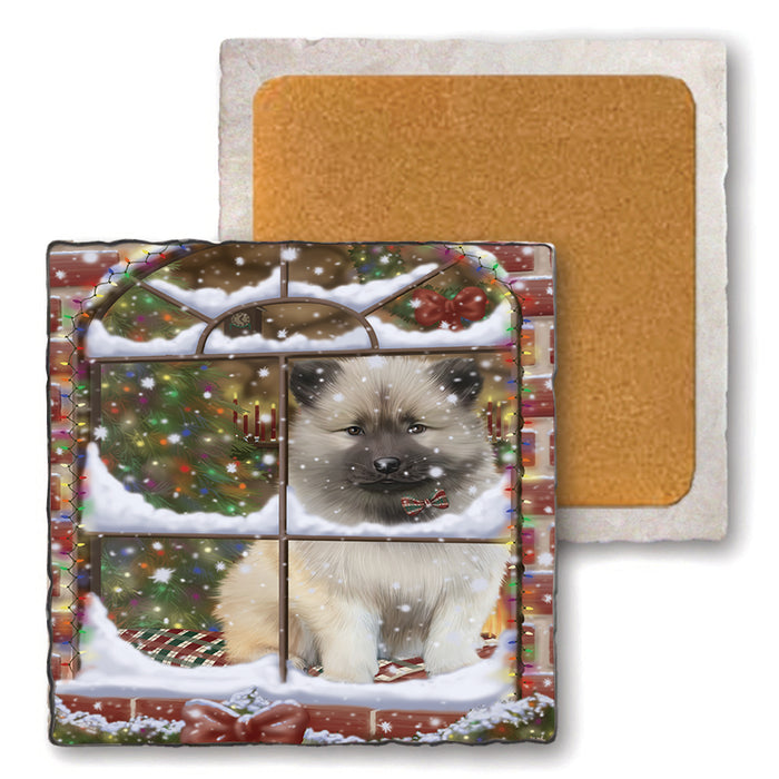 Please Come Home For Christmas Keeshond Dog Sitting In Window Set of 4 Natural Stone Marble Tile Coasters MCST48636