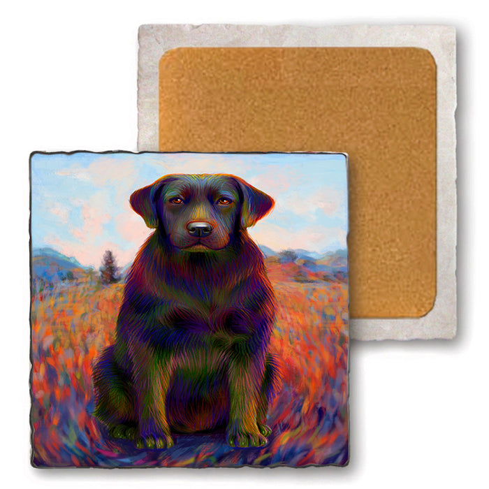 Mystic Blaze Labrador Retriever Dog Set of 4 Natural Stone Marble Tile Coasters MCST48584