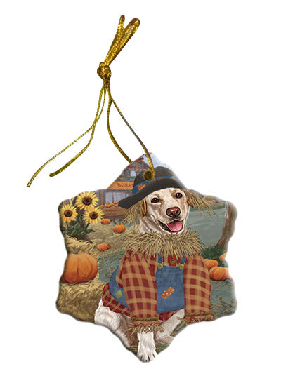 Fall Pumpkin Scarecrow Labradors Dogs Star Porcelain Ornament SPOR57568