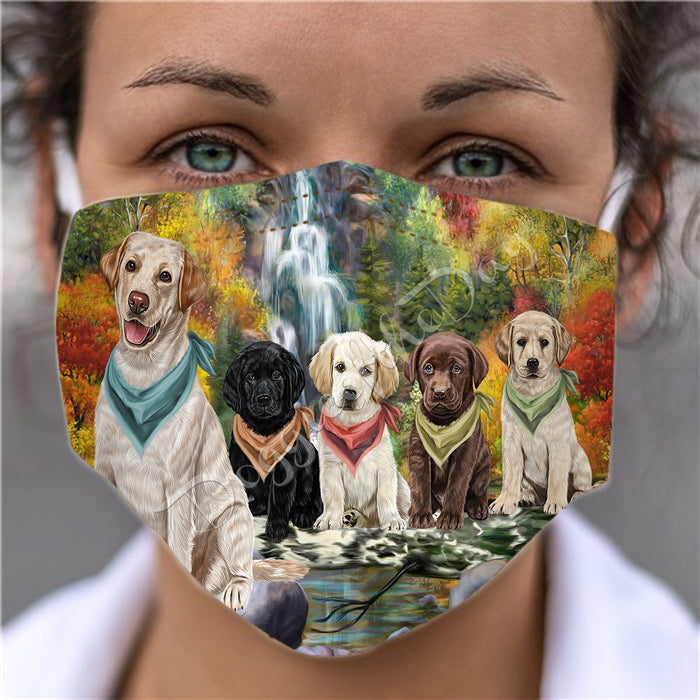 Scenic Waterfall Labrador Dogs Face Mask FM49313