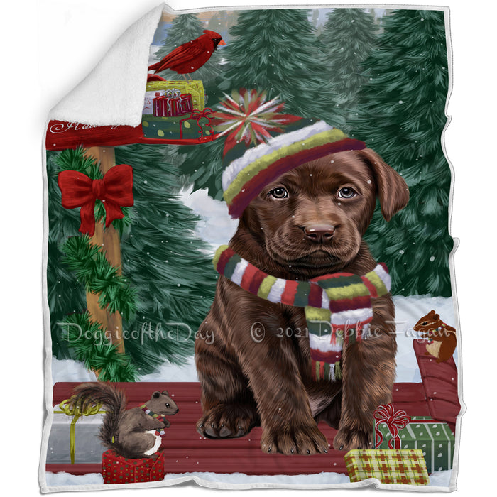 Merry Christmas Woodland Sled Labrador Retriever Dog Blanket BLNKT114060