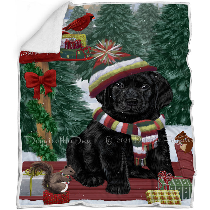 Merry Christmas Woodland Sled Labrador Retriever Dog Blanket BLNKT114078