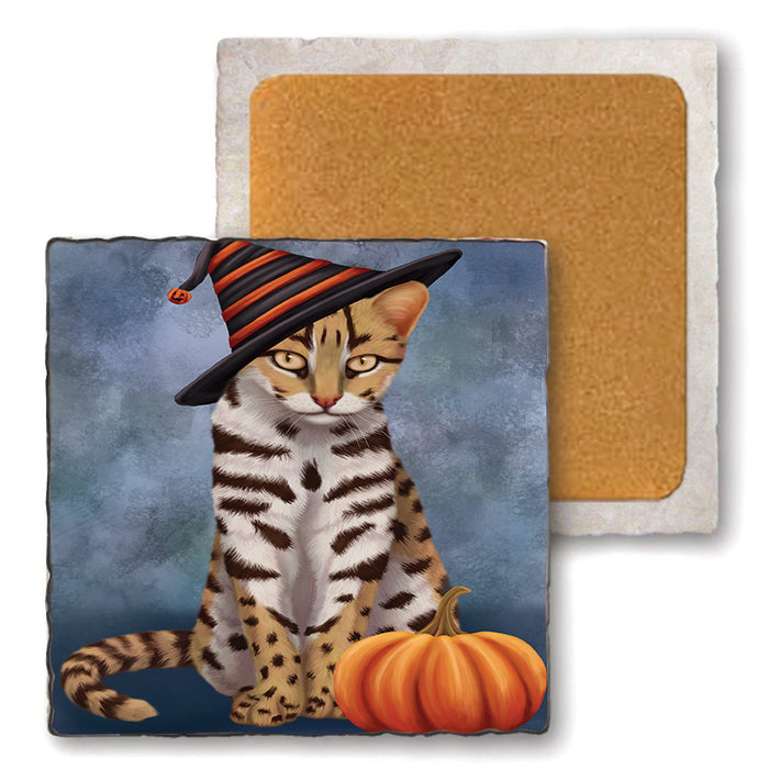 Happy Halloween Leopard Cat Wearing Witch Hat with Pumpkin Set of 4 Natural Stone Marble Tile Coasters MCST49901