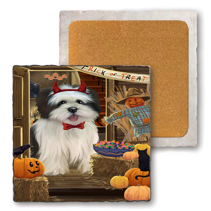 Enter at Own Risk Trick or Treat Halloween Lhasa Apso Dog Set of 4 Natural Stone Marble Tile Coasters MCST48182