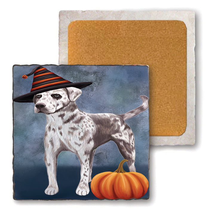 Happy Halloween Louisiana Catahoula Dog Wearing Witch Hat with Pumpkin Set of 4 Natural Stone Marble Tile Coasters MCST49902