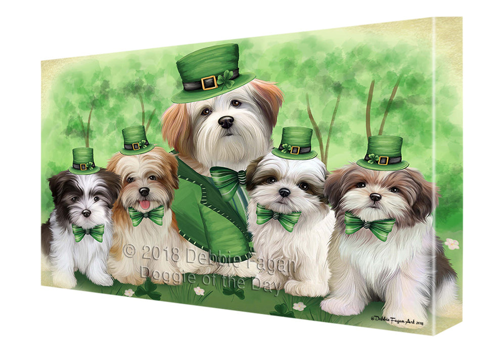 St. Patricks Day Irish Portrait Malti Tzus Dog Canvas Wall Art CVS58881