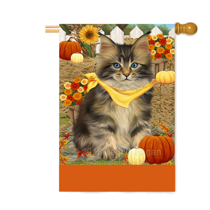 Personalized Fall Autumn Greeting Maine Coon Cat with Pumpkins Custom House Flag FLG-DOTD-A62027