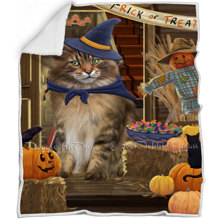Enter at Own Risk Trick or Treat Halloween Maine Coon Cat Blanket BLNKT95997