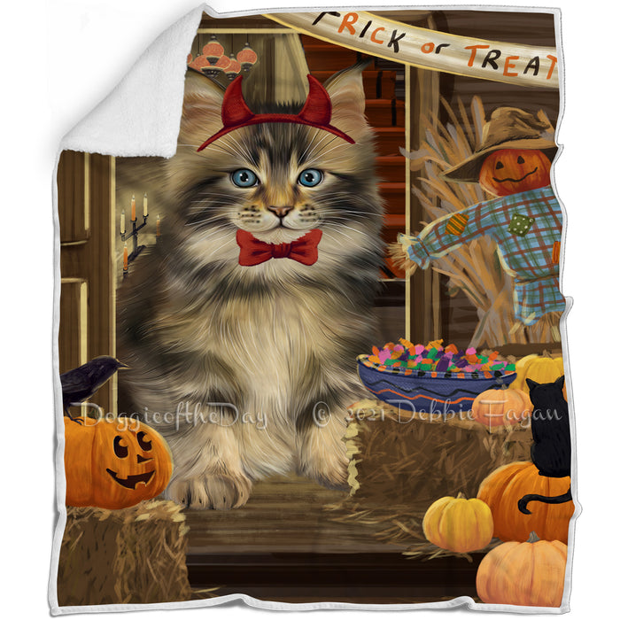Enter at Own Risk Trick or Treat Halloween Maine Coon Cat Blanket BLNKT96024
