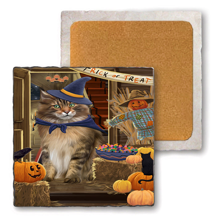 Enter at Own Risk Trick or Treat Halloween Maine Coon Cat Set of 4 Natural Stone Marble Tile Coasters MCST48184