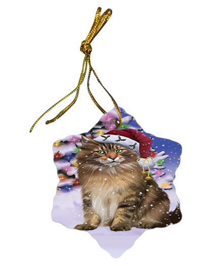 Winterland Wonderland Maine Coon Cat In Christmas Holiday Scenic Background Star Porcelain Ornament SPOR53757