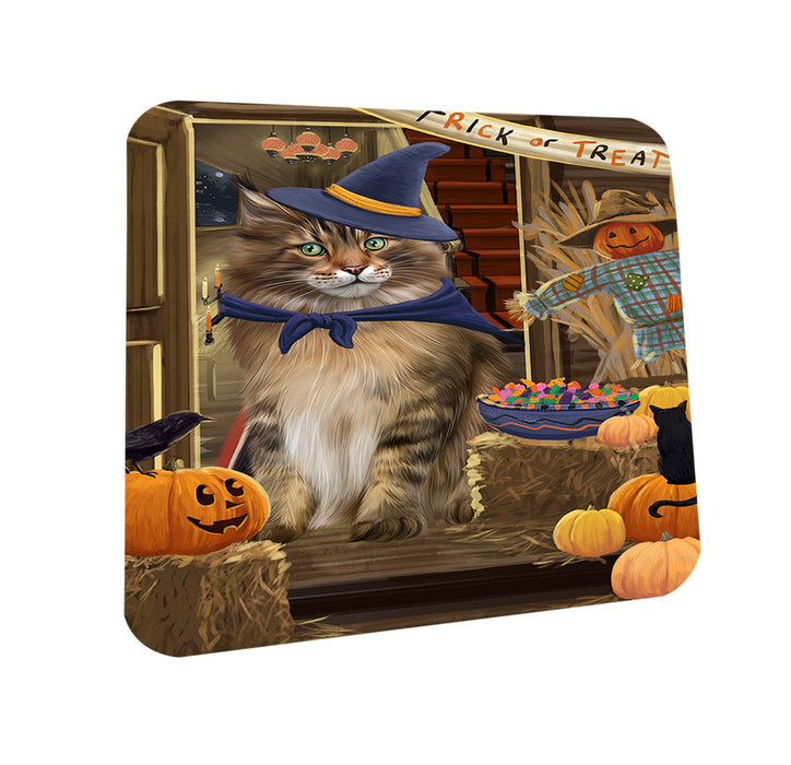 Enter at Own Risk Trick or Treat Halloween Maine Coon Cat Coasters Set of 4 CST53142