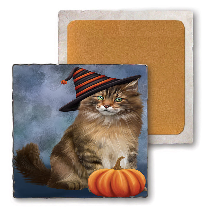 Happy Halloween Maine Coon Cat Wearing Witch Hat with Pumpkin Set of 4 Natural Stone Marble Tile Coasters MCST49736