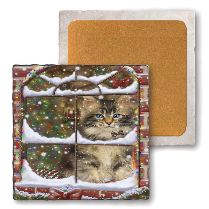 Please Come Home For Christmas Maine Coon Cat Sitting In Window Set of 4 Natural Stone Marble Tile Coasters MCST48637