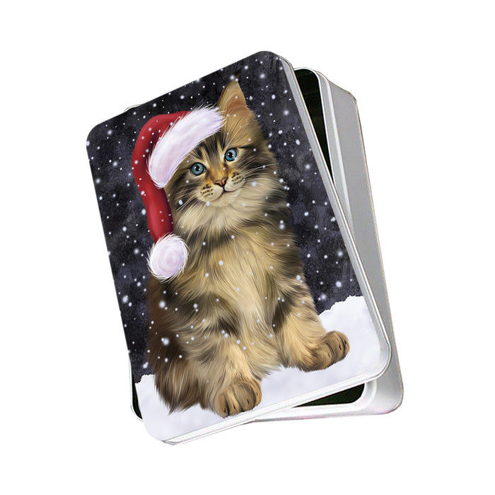 Let it Snow Christmas Holiday Maine Coon Cat Wearing Santa Hat Photo Storage Tin PITN54252