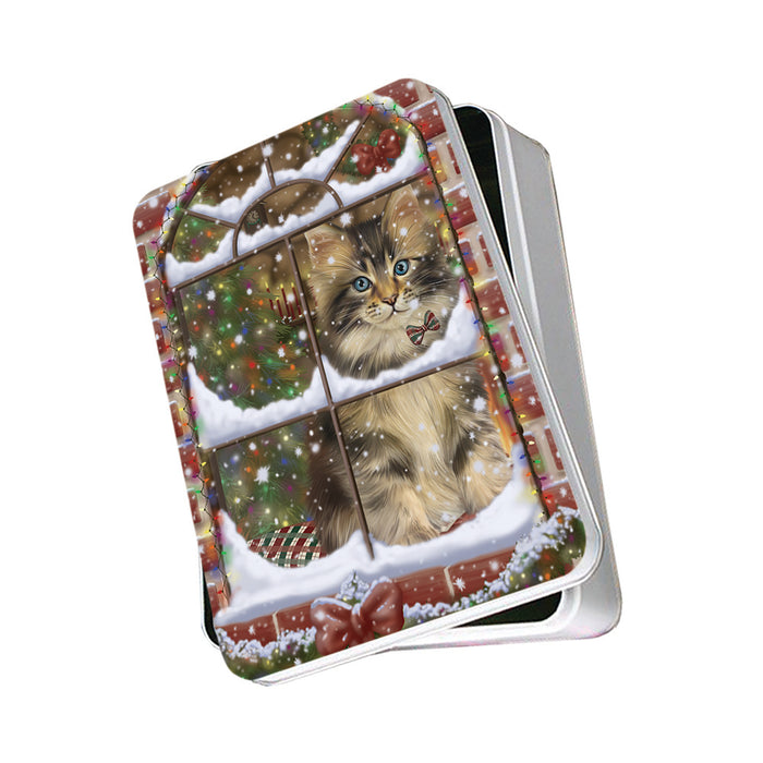 Please Come Home For Christmas Maine Coon Cat Sitting In Window Photo Storage Tin PITN57551