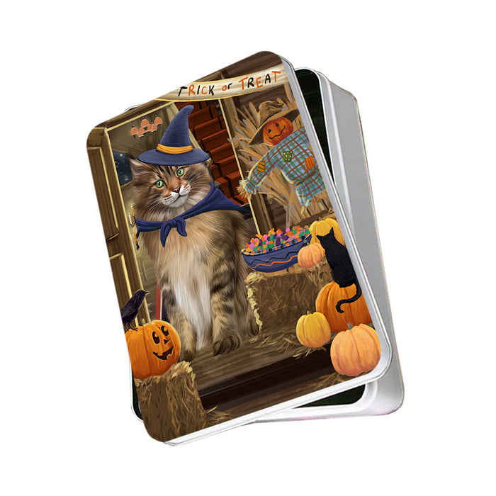 Enter at Own Risk Trick or Treat Halloween Maine Coon Cat Photo Storage Tin PITN53184