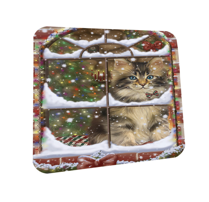Please Come Home For Christmas Maine Coon Cat Sitting In Window Coasters Set of 4 CST53595