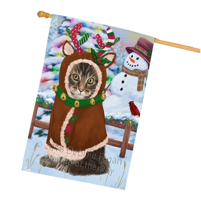 Christmas Gingerbread House Candyfest Maine Coon Cat House Flag FLG57131