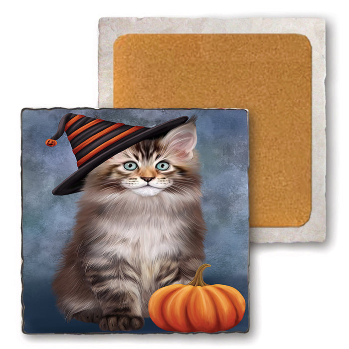 Happy Halloween Maine Coon Cat Wearing Witch Hat with Pumpkin Set of 4 Natural Stone Marble Tile Coasters MCST49737
