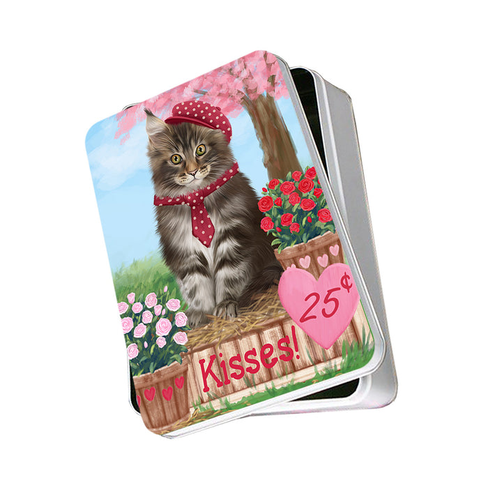 Rosie 25 Cent Kisses Maine Coon Cat Photo Storage Tin PITN55908
