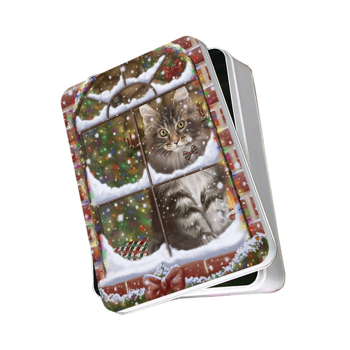 Please Come Home For Christmas Maine Coon Cat Sitting In Window Photo Storage Tin PITN57553