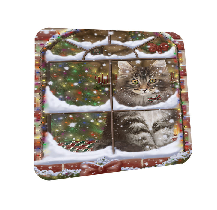 Please Come Home For Christmas Maine Coon Cat Sitting In Window Coasters Set of 4 CST53597