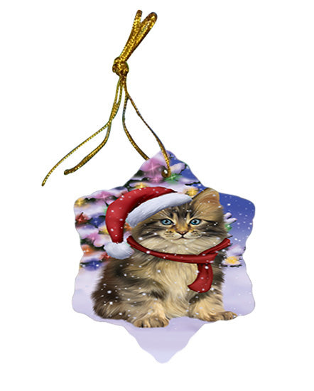 Winterland Wonderland Maine Coon Cat In Christmas Holiday Scenic Background Star Porcelain Ornament SPOR53759
