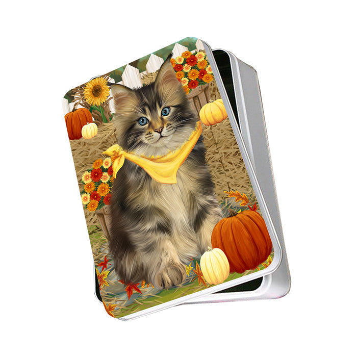 Fall Autumn Greeting Maine Coon Cat with Pumpkins Photo Storage Tin PITN52341