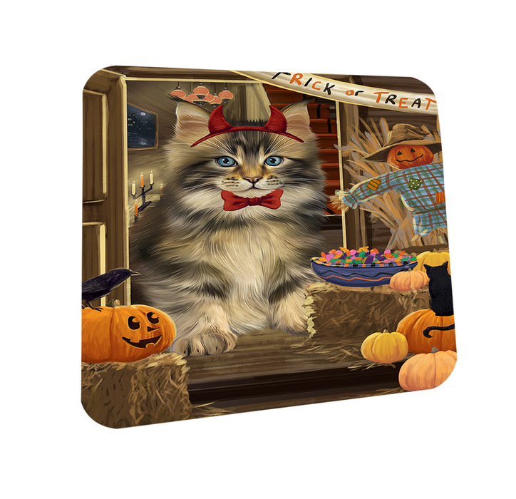 Enter at Own Risk Trick or Treat Halloween Maine Coon Cat Coasters Set of 4 CST53145