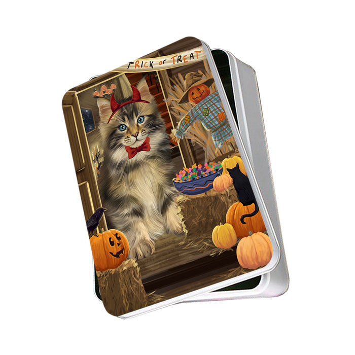 Enter at Own Risk Trick or Treat Halloween Maine Coon Cat Photo Storage Tin PITN53187