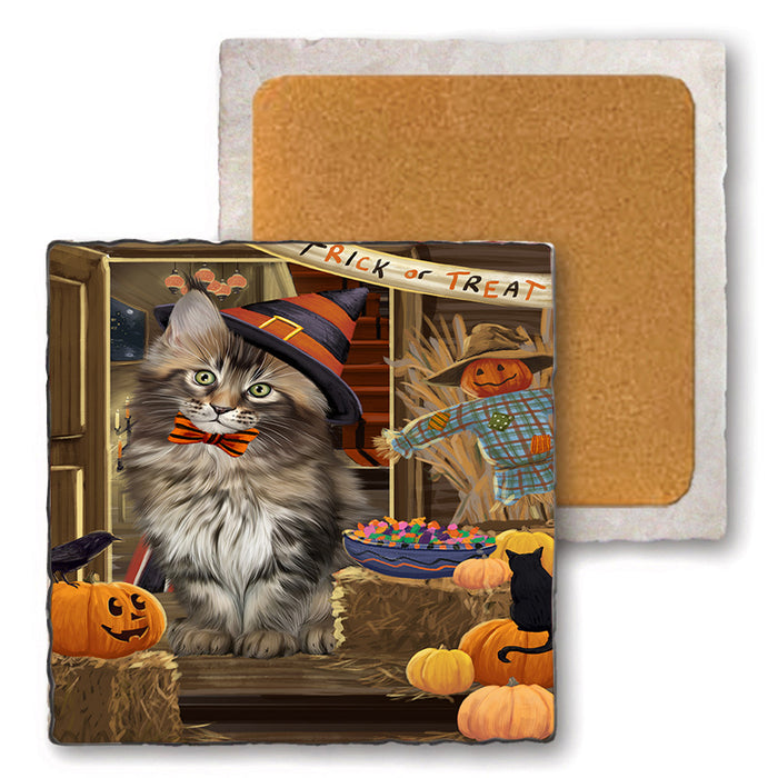 Enter at Own Risk Trick or Treat Halloween Maine Coon Cat Set of 4 Natural Stone Marble Tile Coasters MCST48188