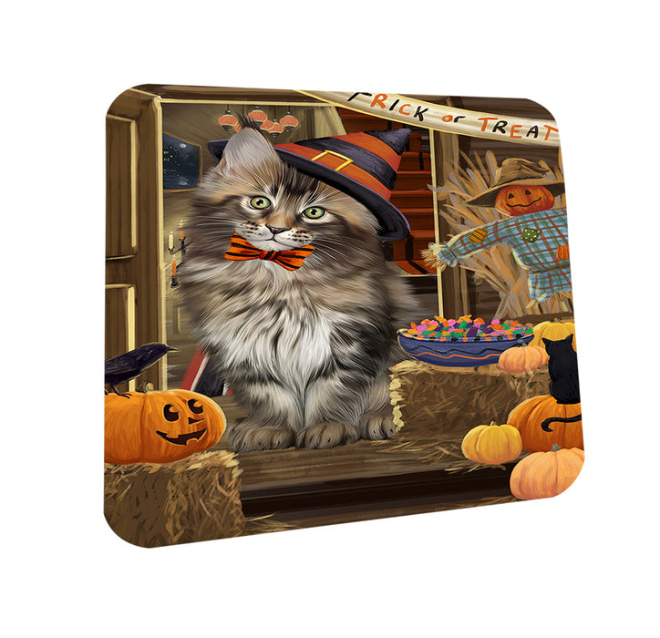 Enter at Own Risk Trick or Treat Halloween Maine Coon Cat Coasters Set of 4 CST53146
