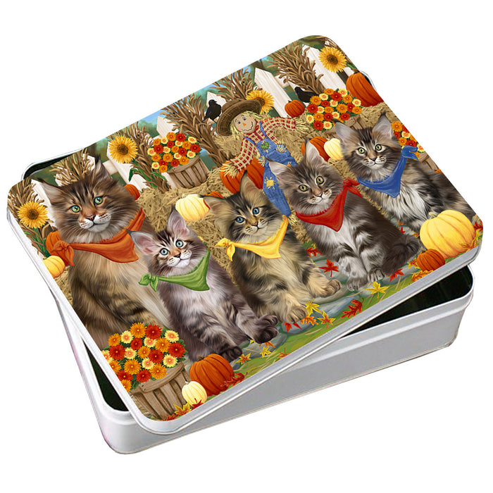 Harvest Time Festival Day Maine Coons Cat Photo Storage Tin PITN52375