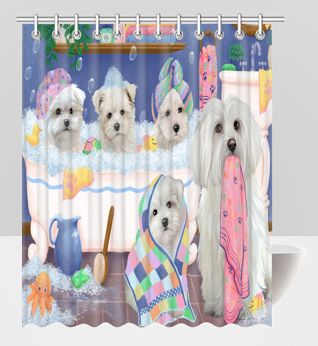 Rub A Dub Dogs In A Tub Maltese Dogs Shower Curtain