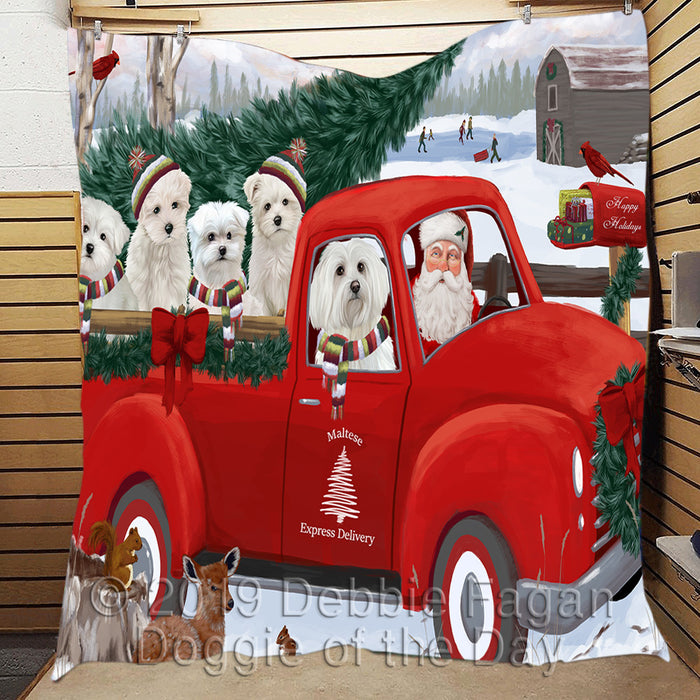 Christmas Santa Express Delivery Red Truck Maltese Dogs Quilt