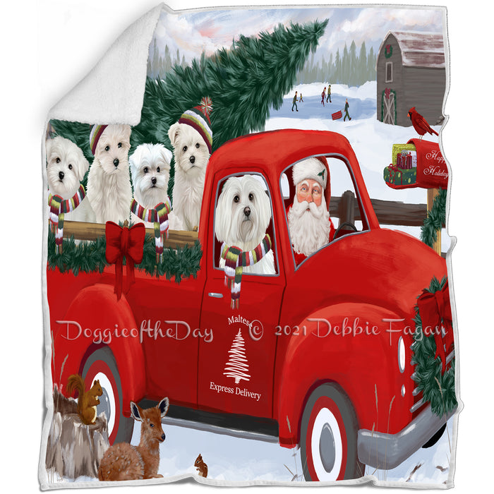 Christmas Santa Express Delivery Red Truck Malteses Dog Family Blanket BLNKT112809